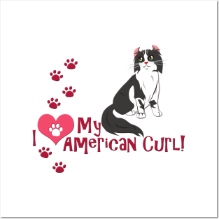 I Love My American Curl Cat Posters and Art